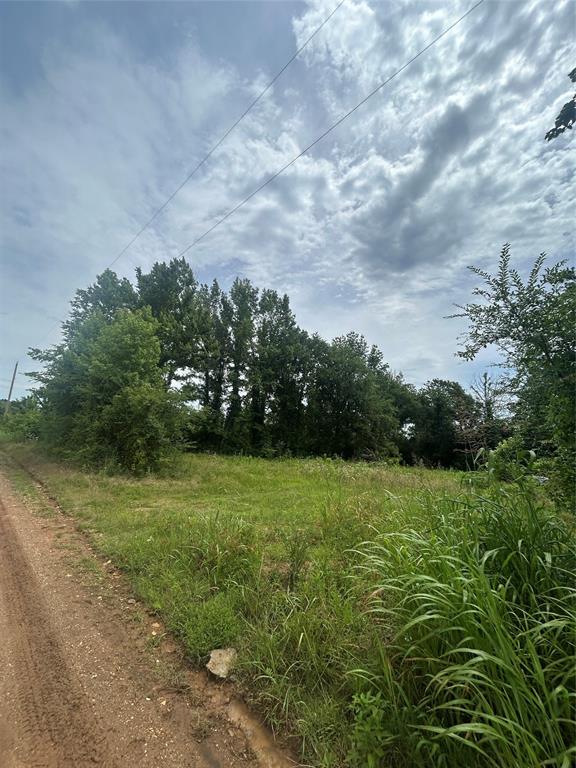664 River Ferry Road Property Photo 2