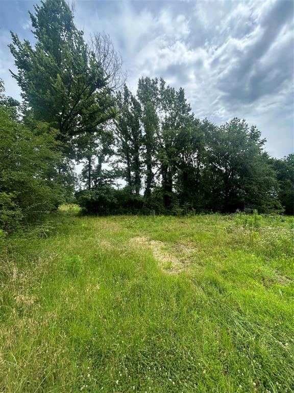 664 River Ferry Road Property Photo 3