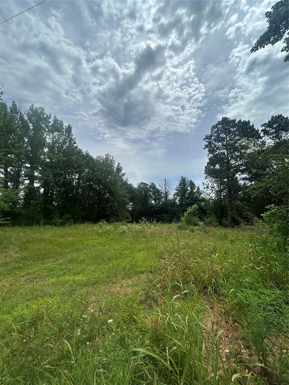 664 River Ferry Road Property Photo 4
