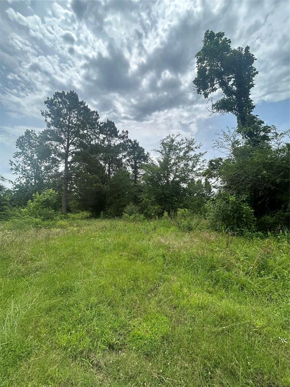 664 River Ferry Road Property Photo 5