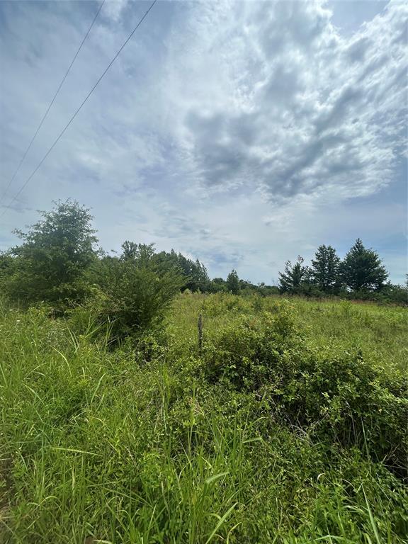 664 River Ferry Road Property Photo 6