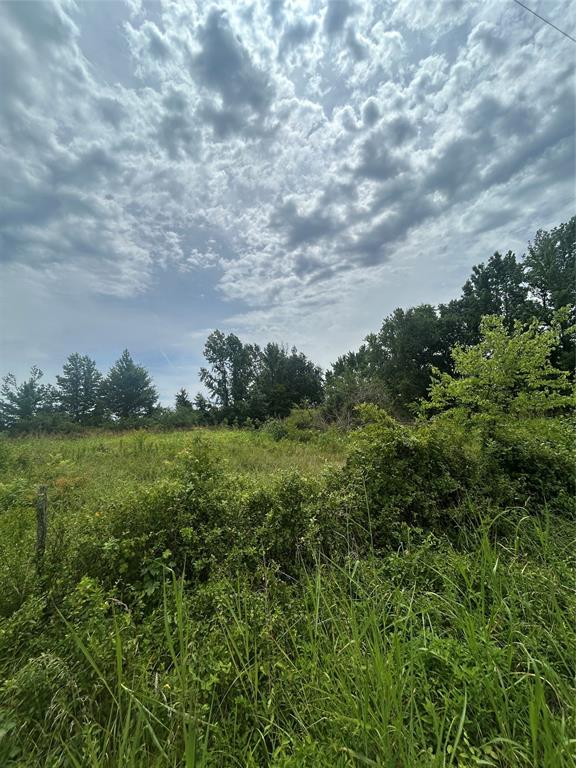 664 River Ferry Road Property Photo 8