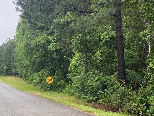 0 Isaac Creek Road Property Photo 1