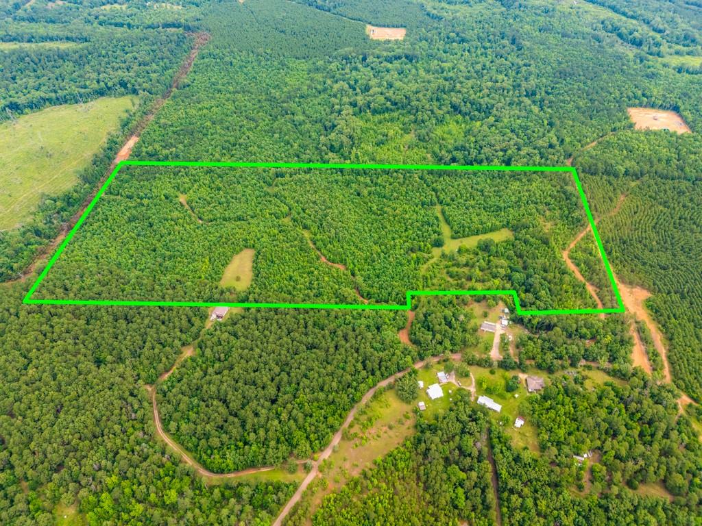 3536 & Tbd Cr 1579 Property Photo 1