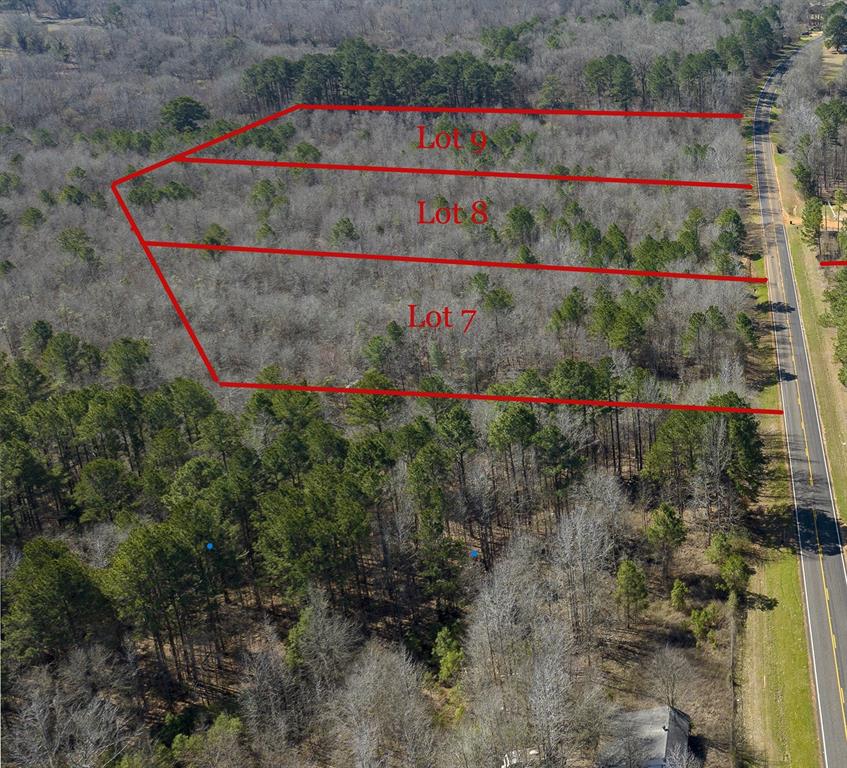 Lots 7,8,9 J Lazarine Fm 130 Property Photo 1