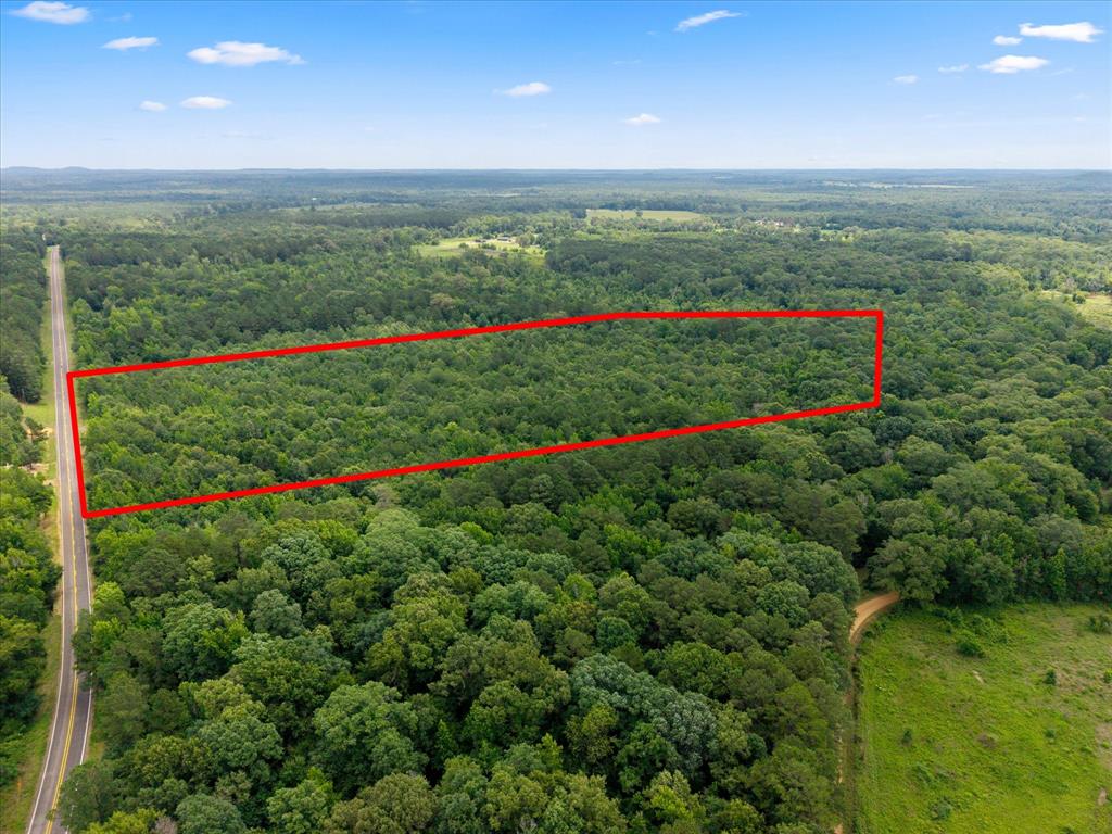 Lots 7,8,9 J Lazarine Fm 130 Property Photo 4