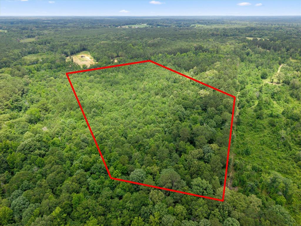 Lots 7,8,9 J Lazarine Fm 130 Property Photo 5