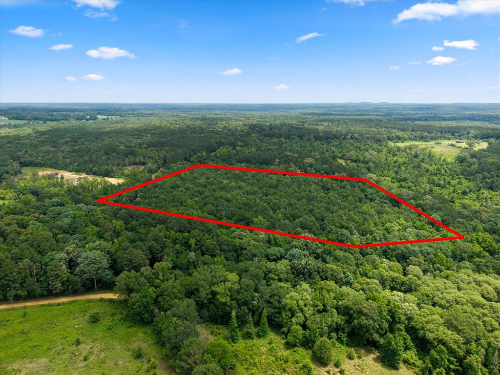 Lots 7,8,9 J Lazarine Fm 130 Property Photo 6