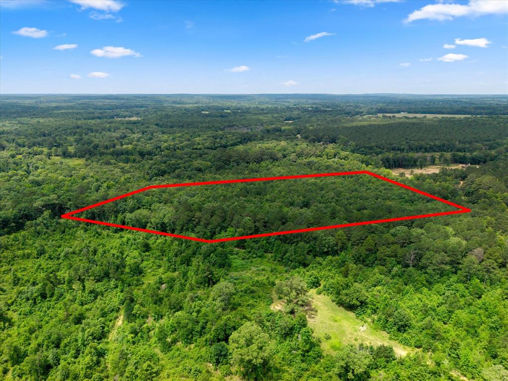 Lots 7,8,9 J Lazarine Fm 130 Property Photo 7