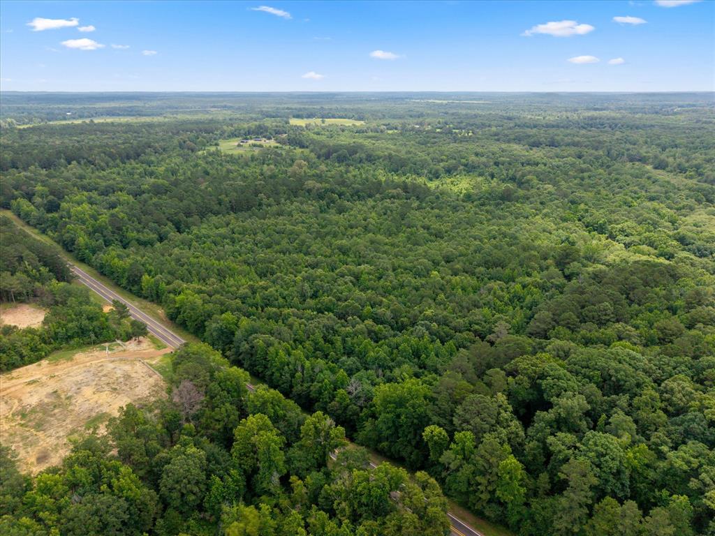 Lots 7,8,9 J Lazarine Fm 130 Property Photo 11