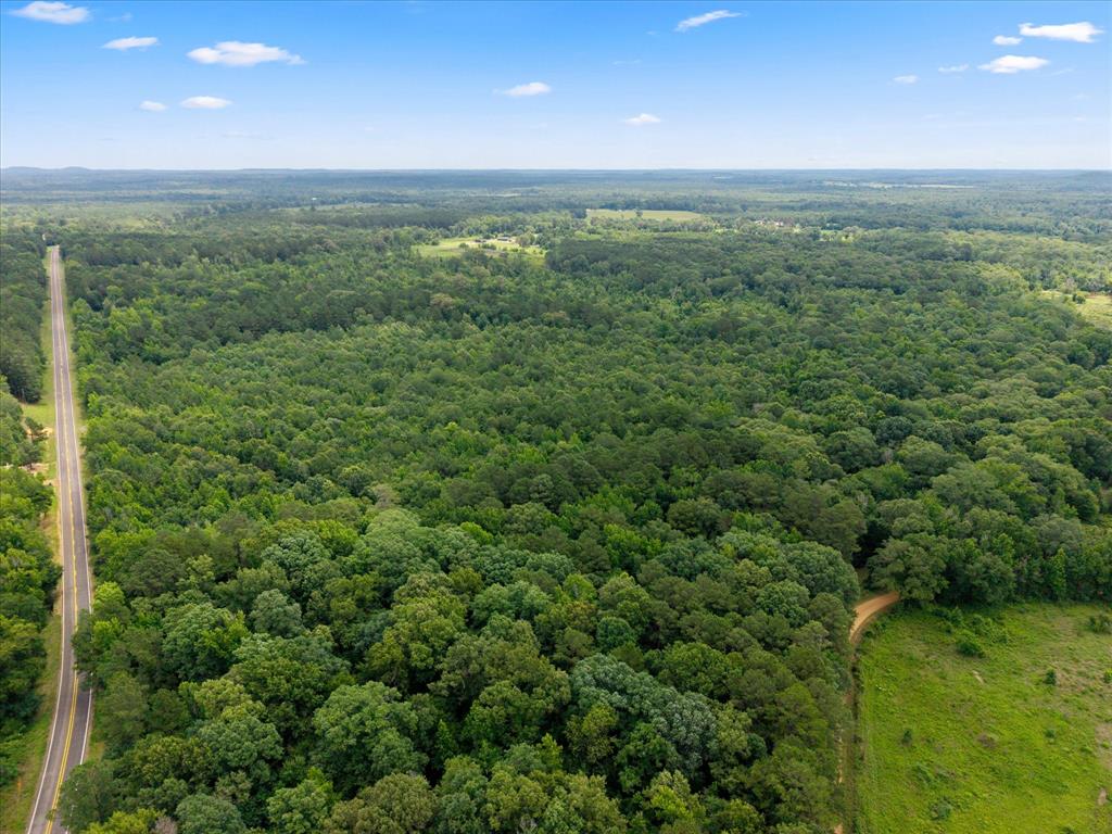 Lots 7,8,9 J Lazarine Fm 130 Property Photo 12