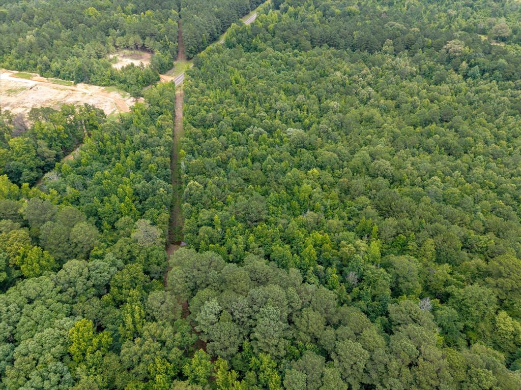 Lots 7,8,9 J Lazarine Fm 130 Property Photo 13