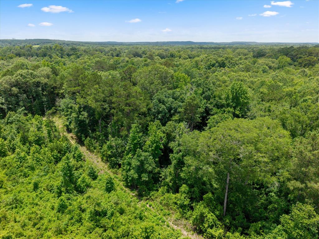 Lots 7,8,9 J Lazarine Fm 130 Property Photo 14