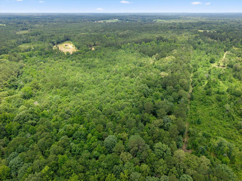 Lots 7,8,9 J Lazarine Fm 130 Property Photo 15