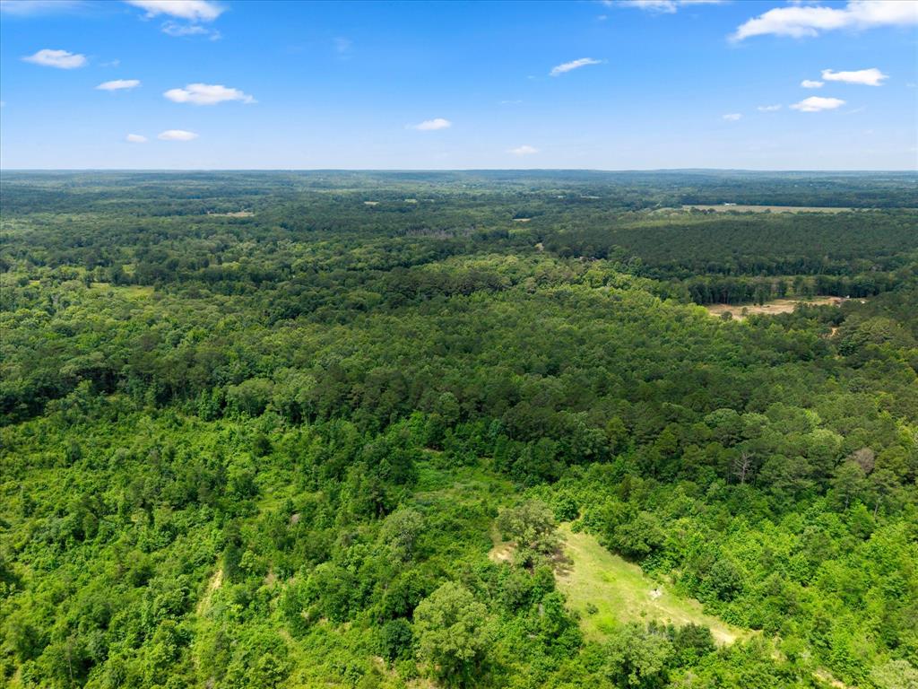 Lots 7,8,9 J Lazarine Fm 130 Property Photo 17
