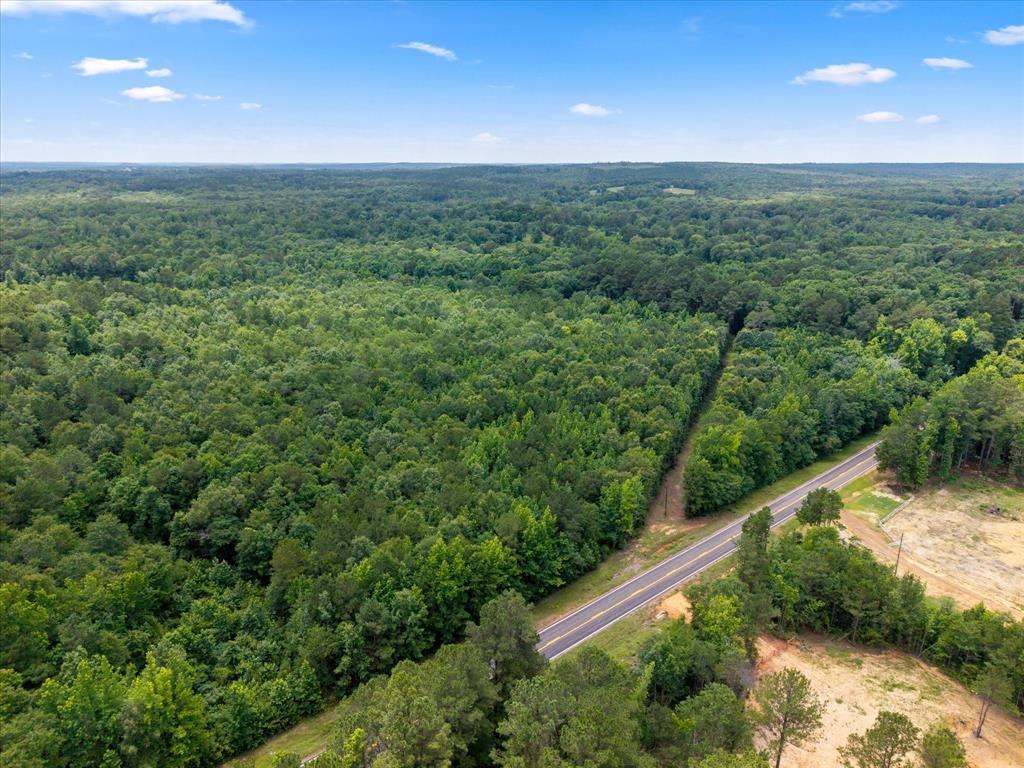 Lots 7,8,9 J Lazarine Fm 130 Property Photo 19