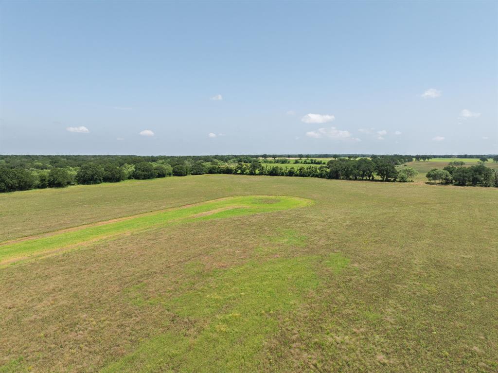 70.413 Ac Fm 1195 Property Photo 11