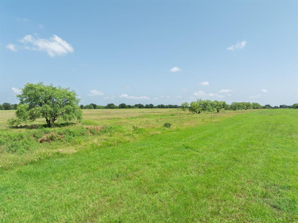 70.413 Ac Fm 1195 Property Photo 22