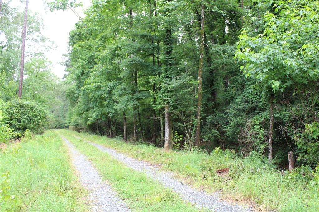 0 Burks Lane Property Photo 1
