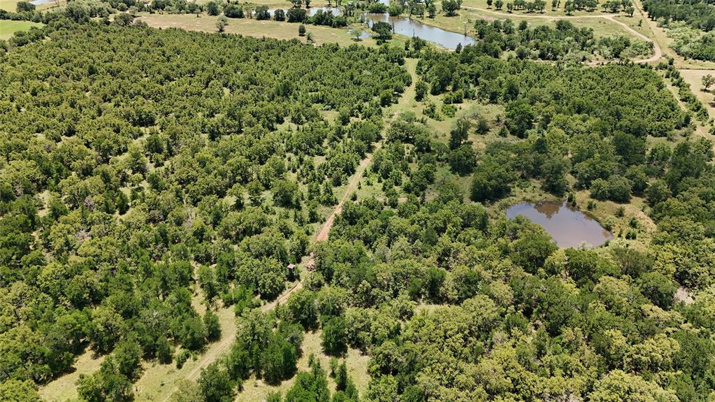 Tbd Fm-2075 Property Photo 9