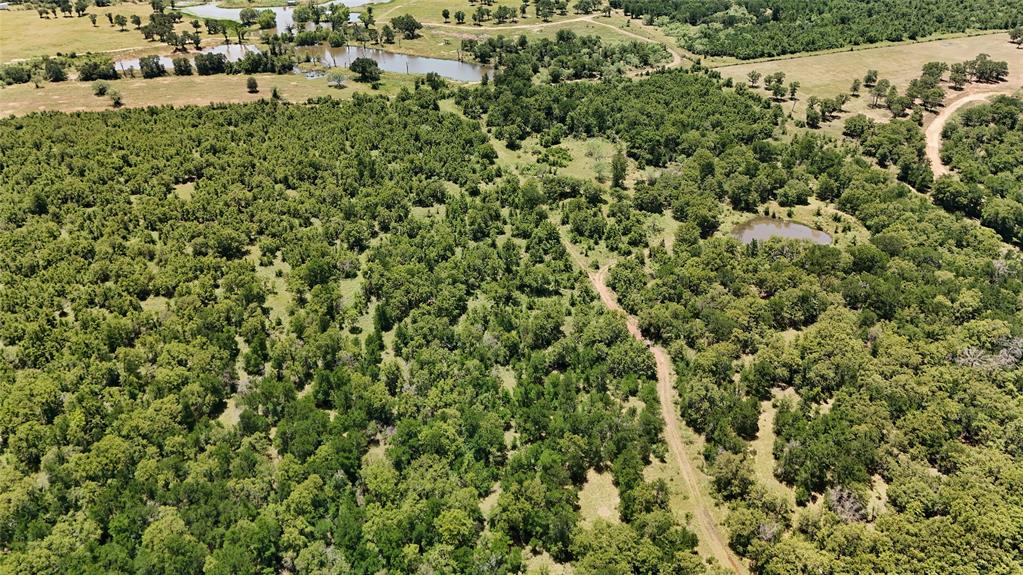 Tbd Fm-2075 Property Photo 13