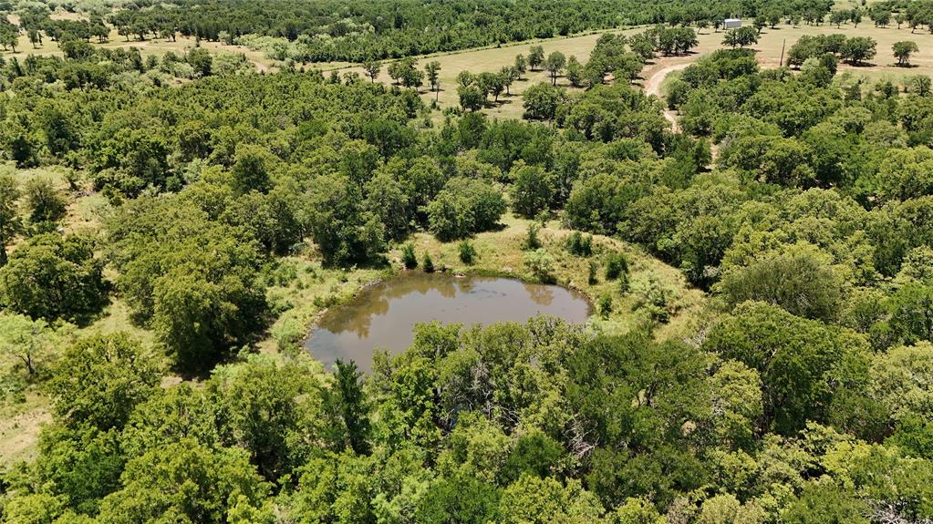Tbd Fm-2075 Property Photo 15