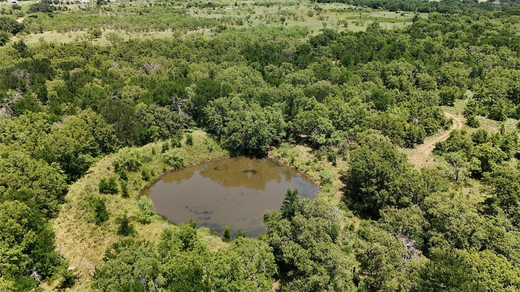 Tbd Fm-2075 Property Photo 16