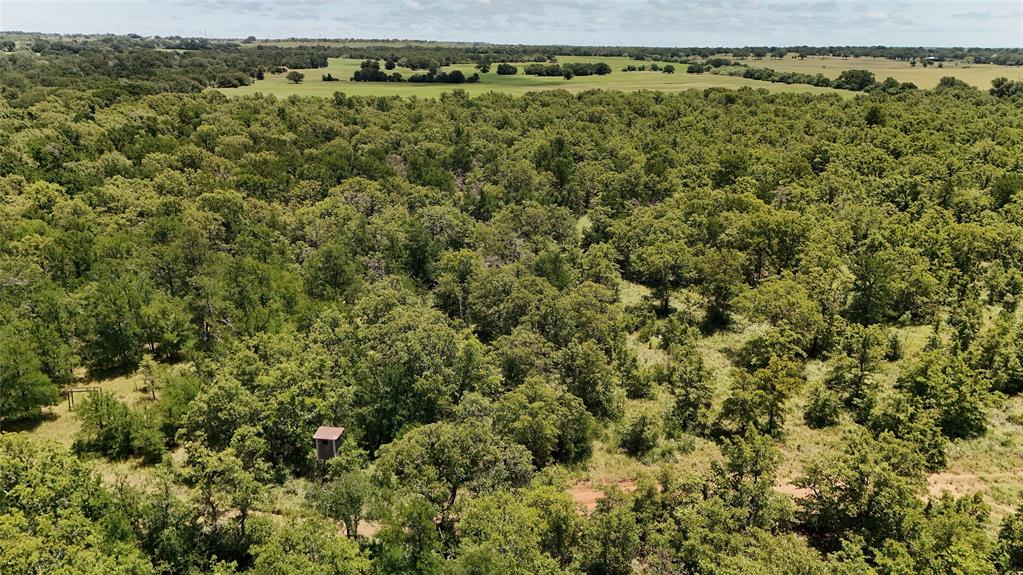 Tbd Fm-2075 Property Photo 17