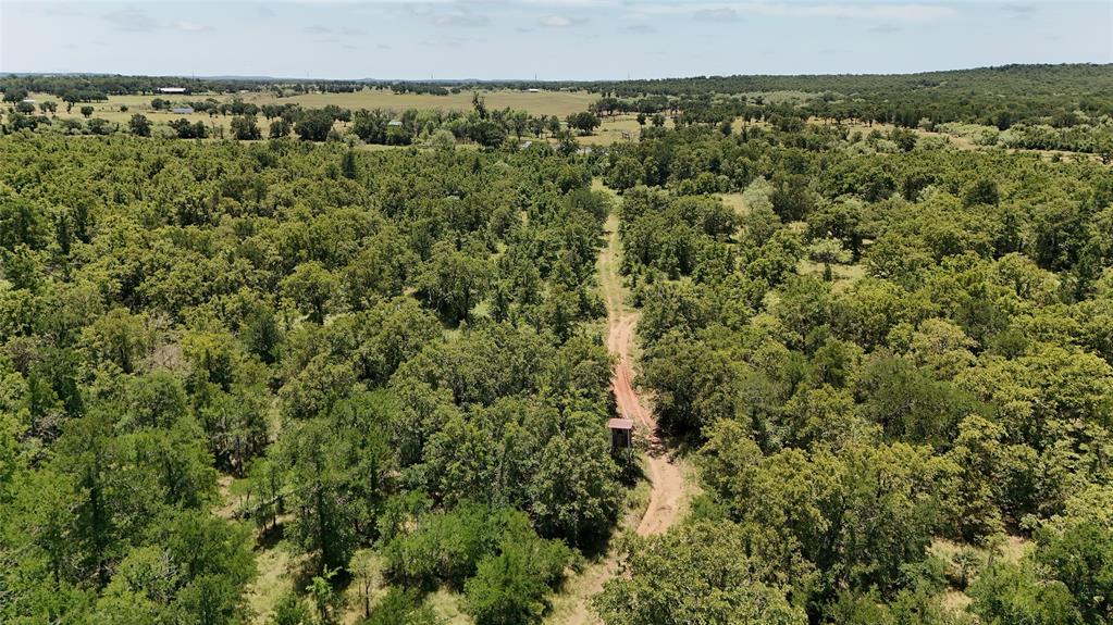Tbd Fm-2075 Property Photo 19
