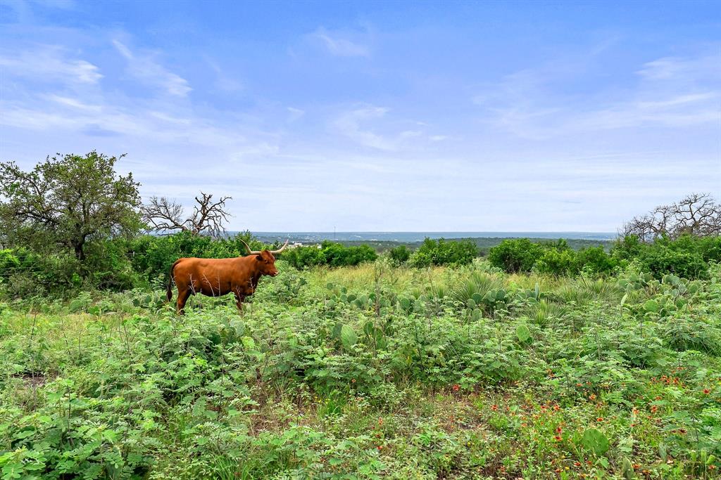 101 Starhorn Road Property Photo 35