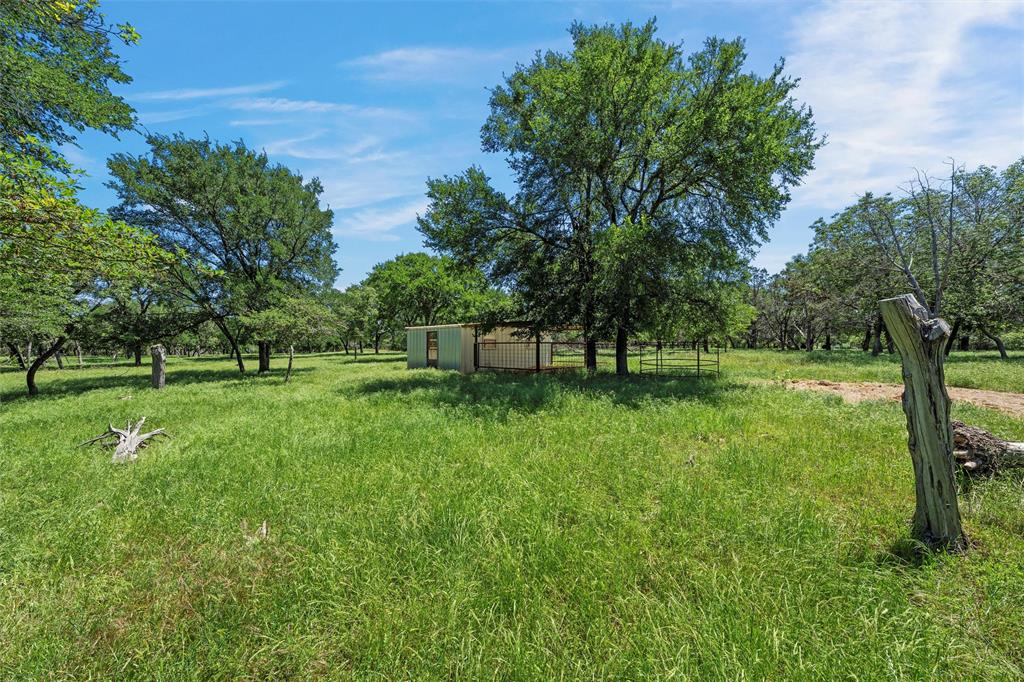 Tbd Cr 3317 Property Photo 9