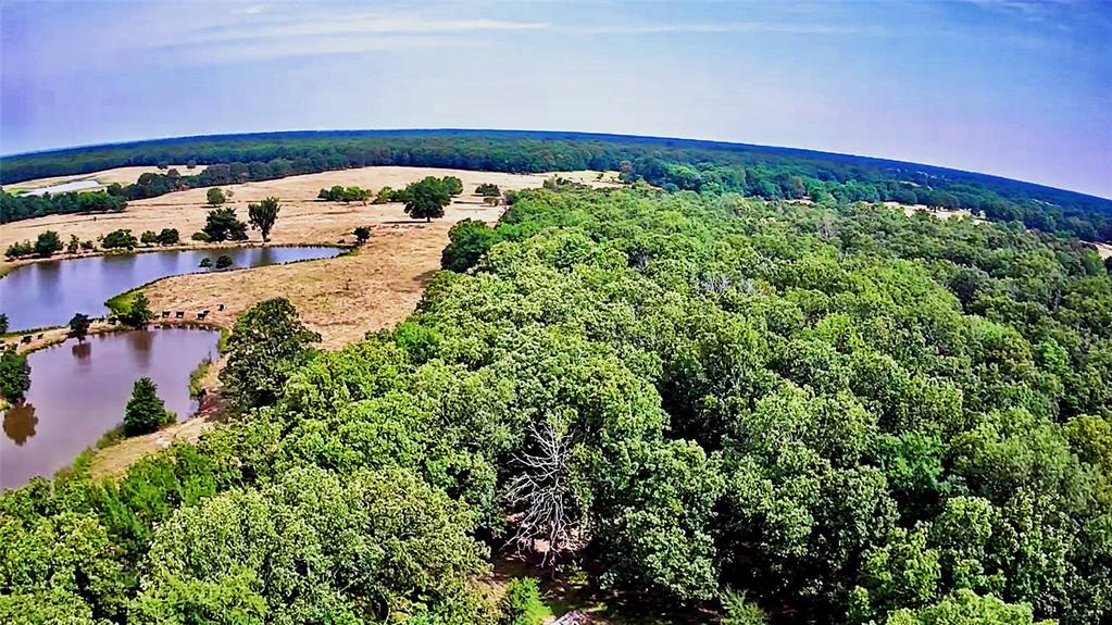 1963 County Road 44750 Property Photo 1