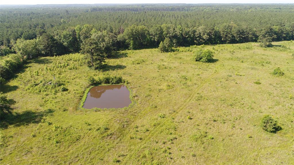 7961 Sand Road Property Photo 6