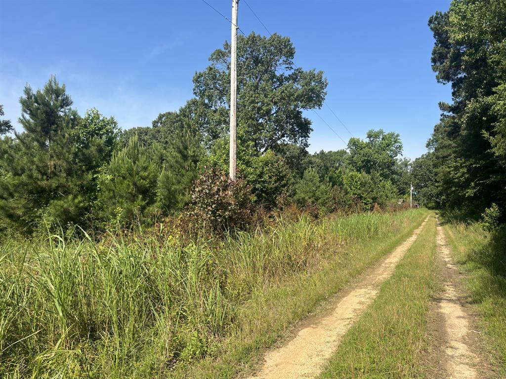 7961 Sand Road Property Photo 7