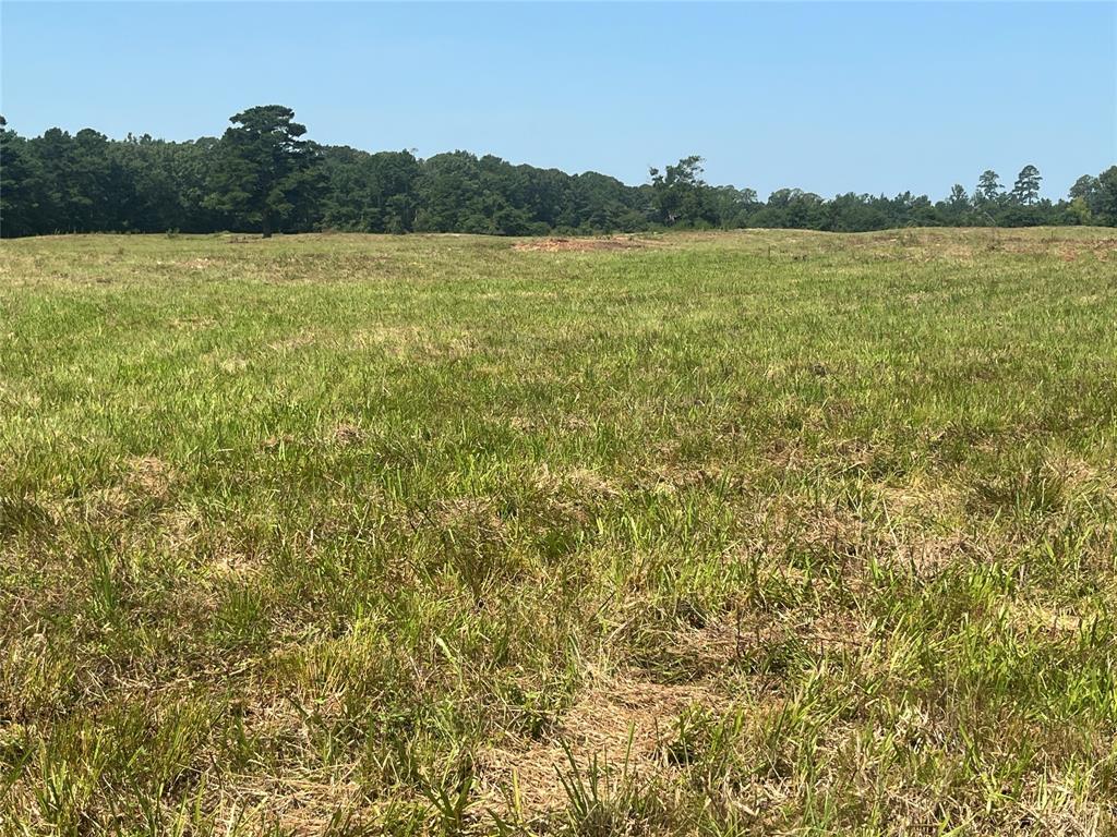 7961 Sand Road Property Photo 8