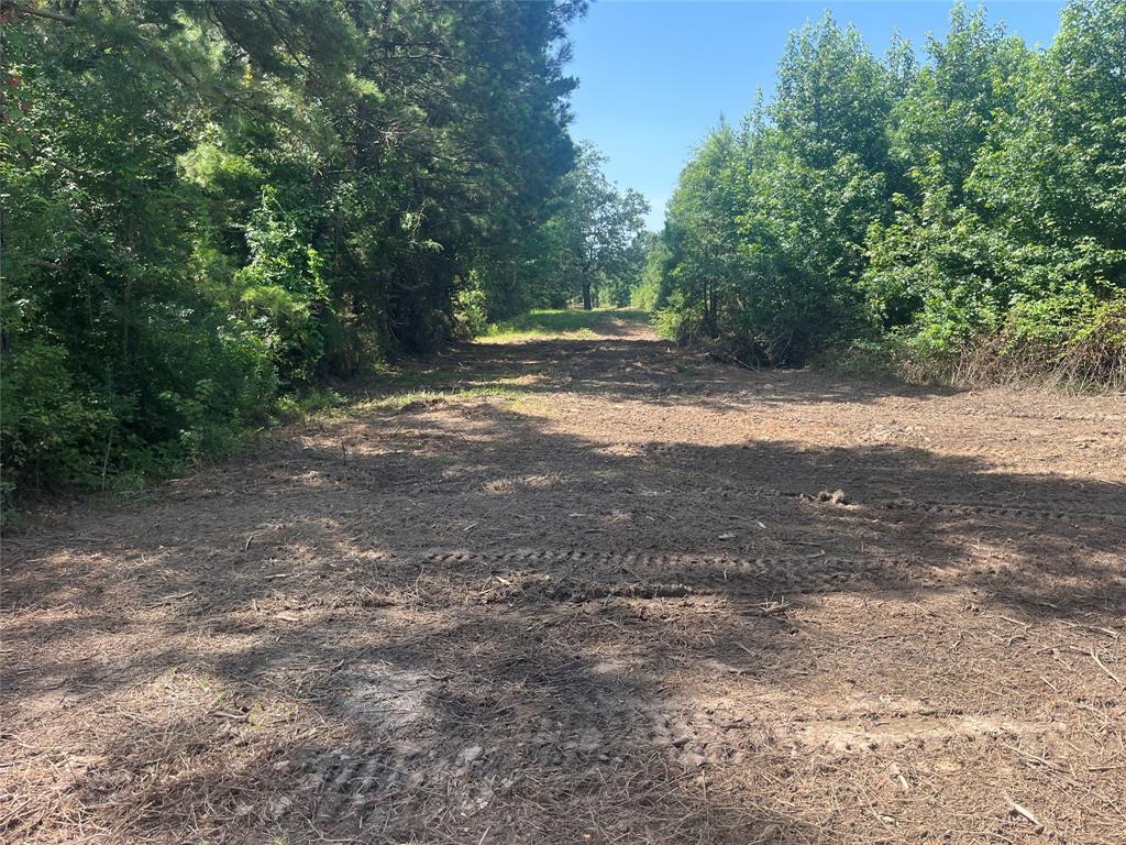 7961 Sand Road Property Photo 9