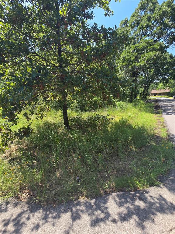 0 Nina Street Property Photo 1