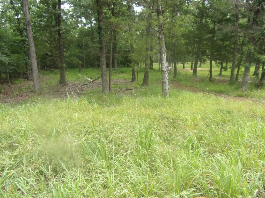 944 Whipporwill Property Photo 1