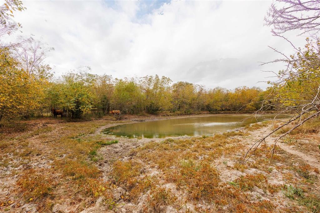 4081 Fm 2736 C Property Photo 6