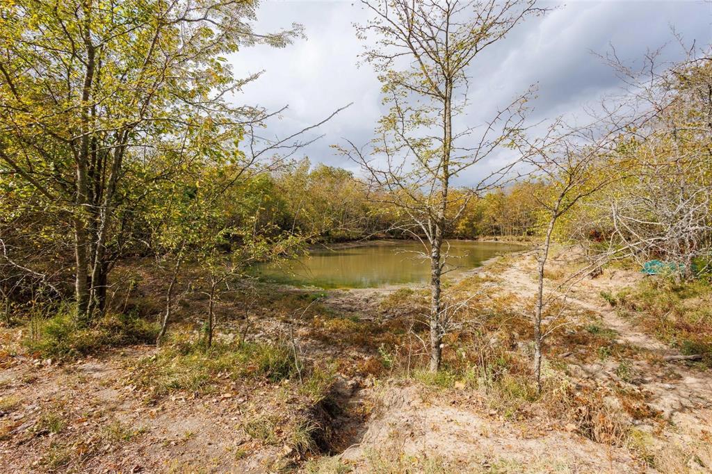 4081 Fm 2736 C Property Photo 7