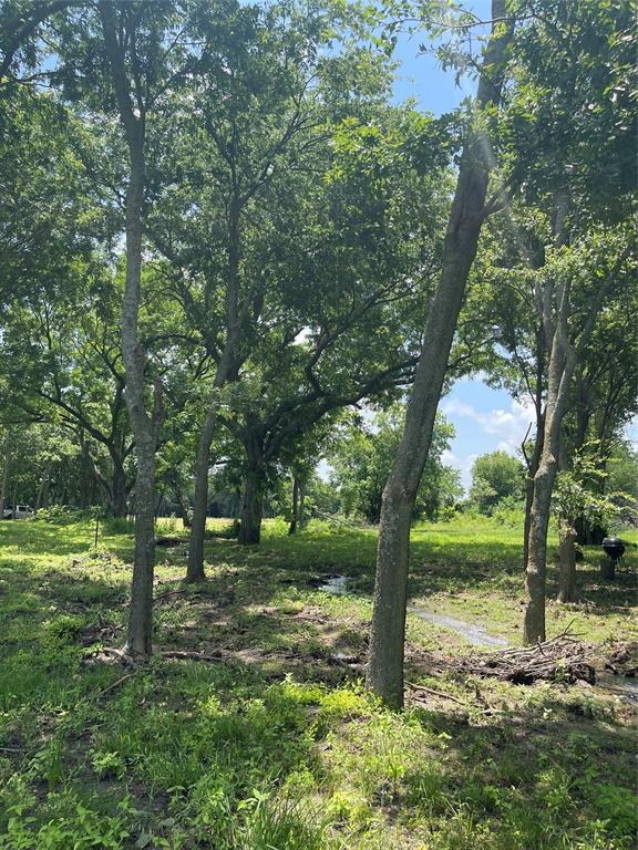 Tbd Longview Creeek Trail Property Photo 1