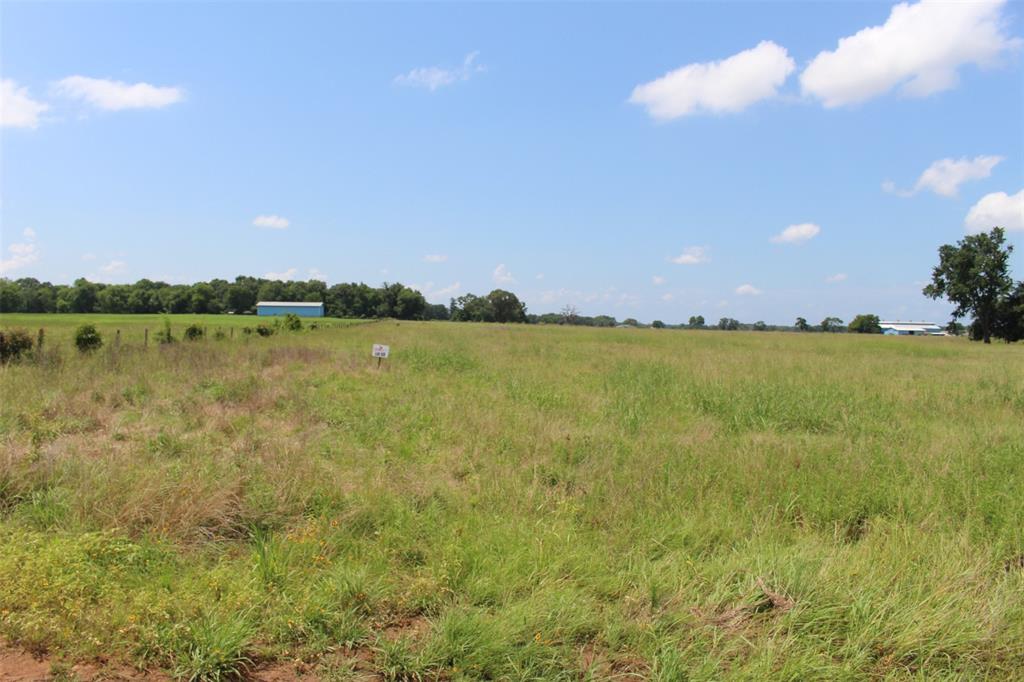 Tract 88 Private Road 2315 Property Photo 4