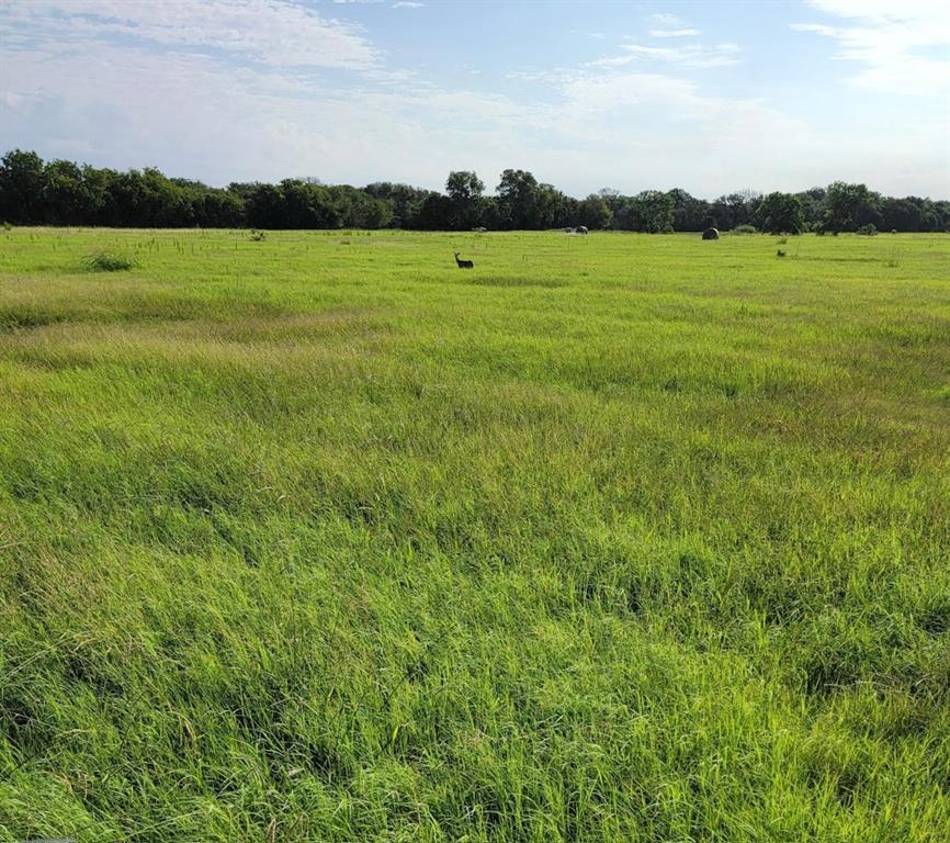 9931 Harmonson Road Property Photo 2