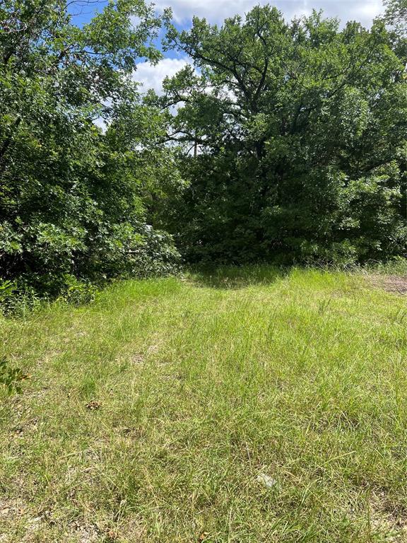 35 Cleveland Avenue Property Photo 2