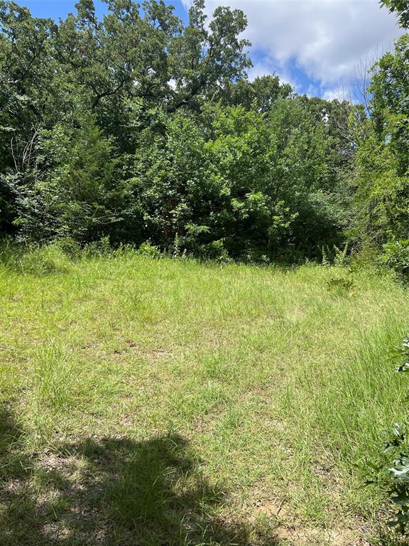 35 Cleveland Avenue Property Photo 4