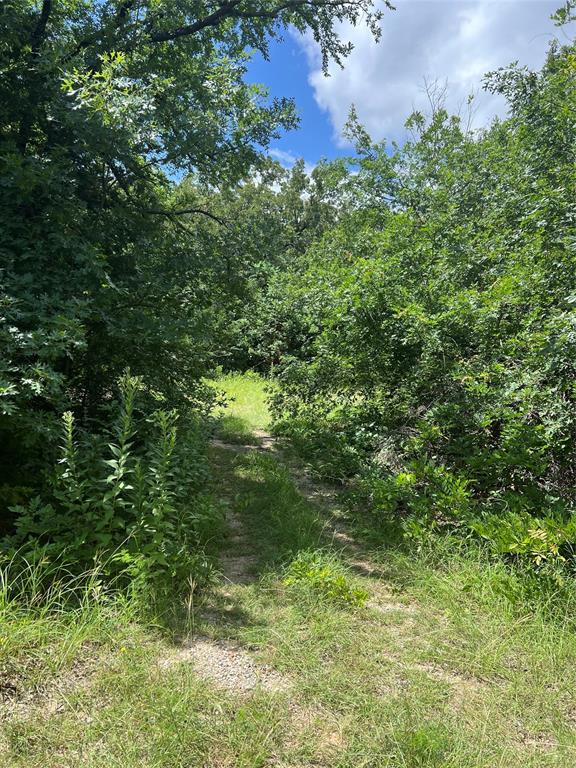 35 Cleveland Avenue Property Photo 5