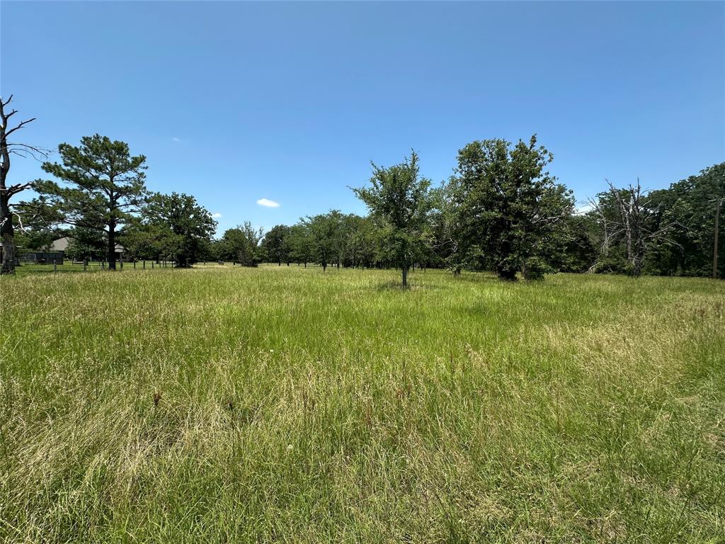 Tbd County Road 755 Property Photo 1