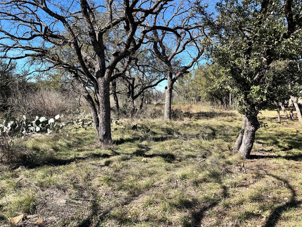 Tbd Lot 240 Feather Bay Drive Property Photo 1
