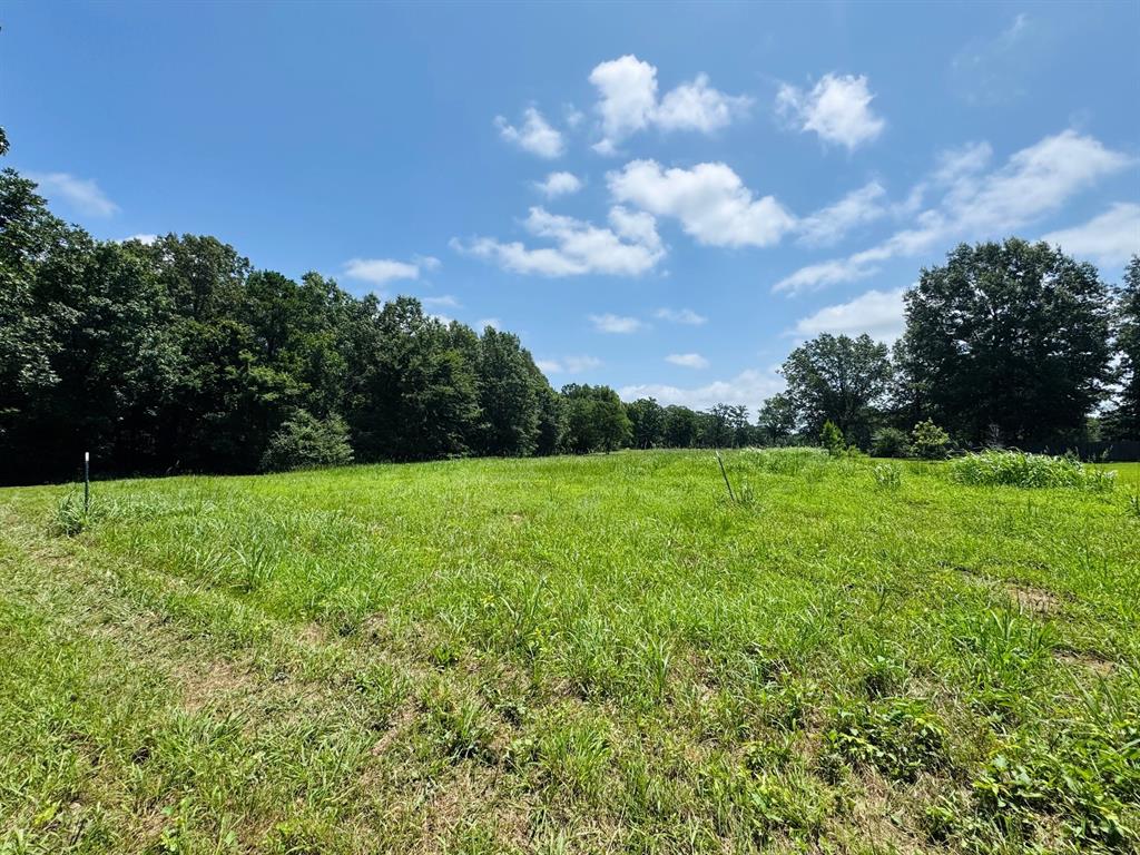 1.42 Acres County Road 2910 Property Photo 2