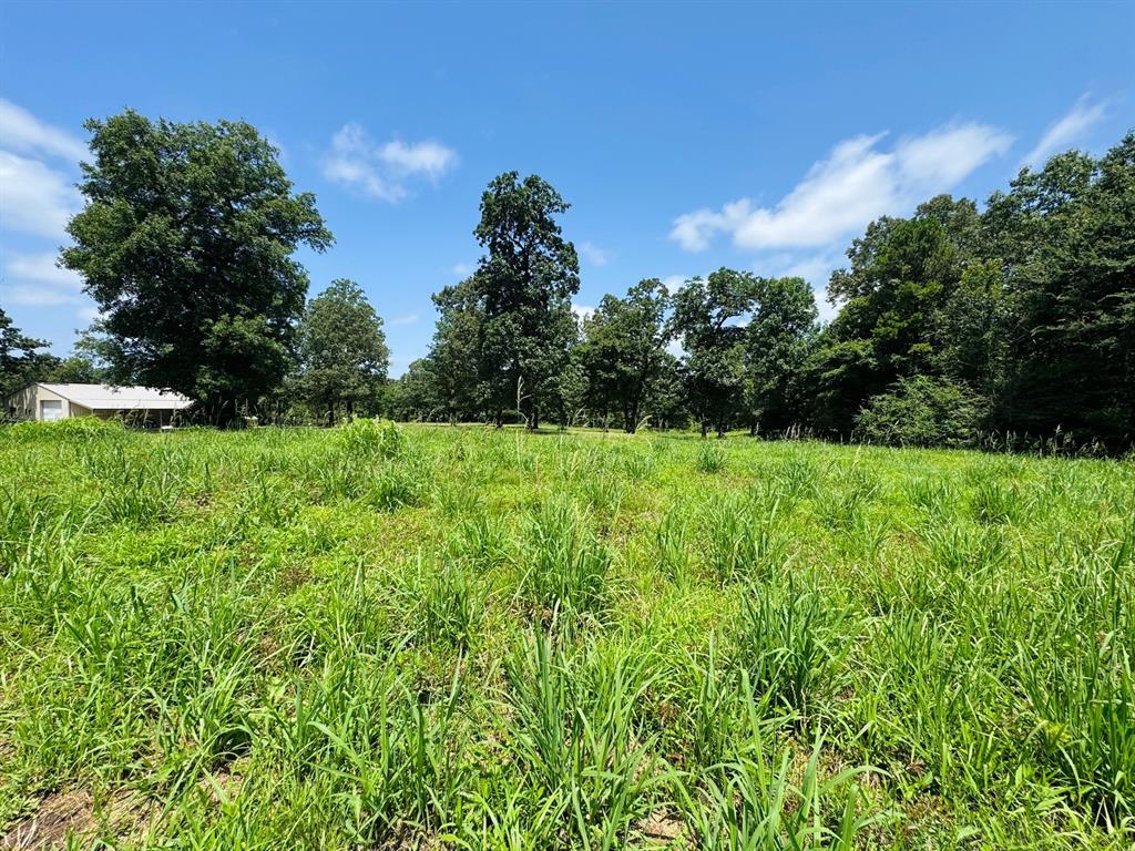 1.42 Acres County Road 2910 Property Photo 3